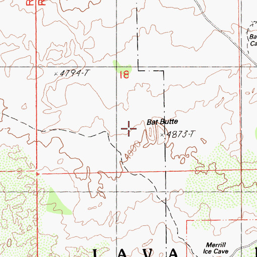 Topographic Map of Bat Butte, CA