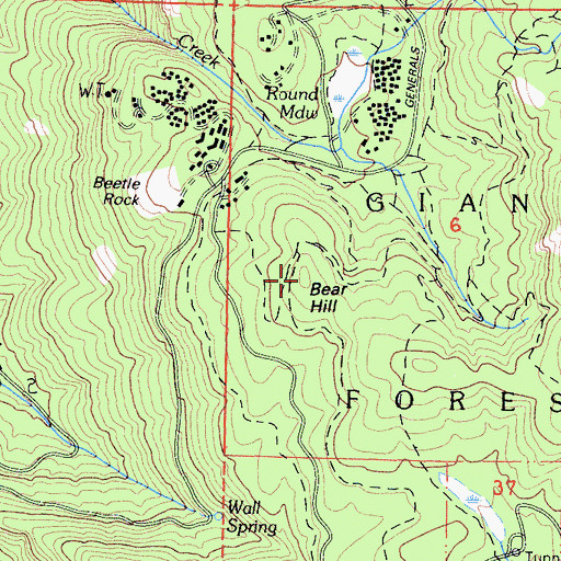 Topographic Map of Bear Hill, CA