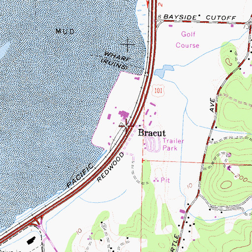 Topographic Map of Bracut, CA
