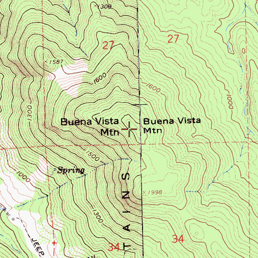 Topographic Map of Buena Vista Mountain, CA