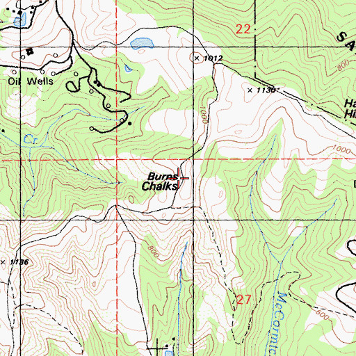 Topographic Map of Burns Chalks, CA