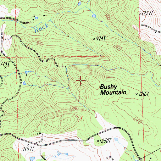 Topographic Map of Bushy Mountain, CA