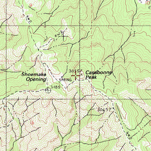 Topographic Map of Casabonne Peak, CA