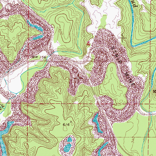 Topographic Map of North Johns Division, AL
