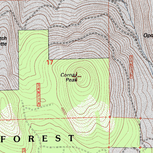 Topographic Map of Cornaz Peak, CA