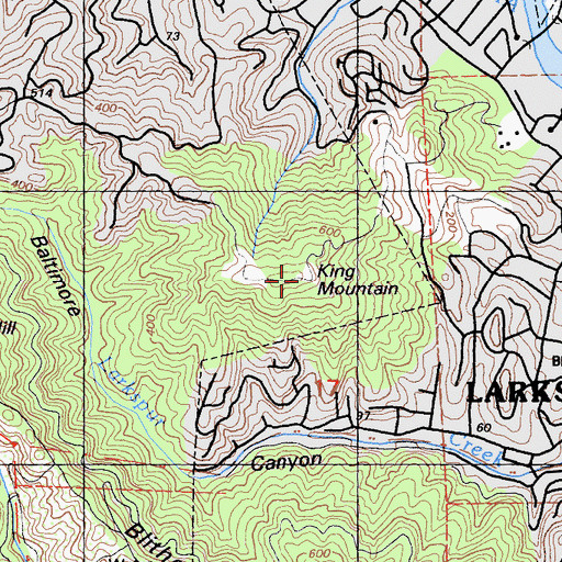 Topographic Map of King Mountain, CA