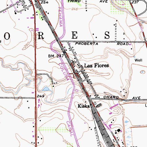 Topographic Map of Las Flores, CA