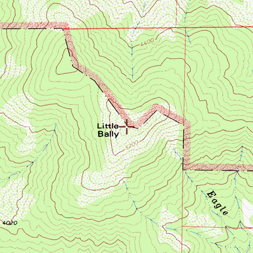Topographic Map of Little Bally, CA