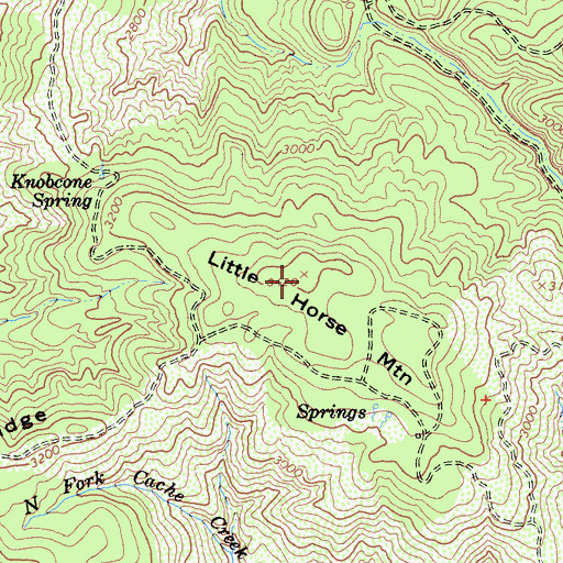 Topographic Map of Little Horse Mountain, CA