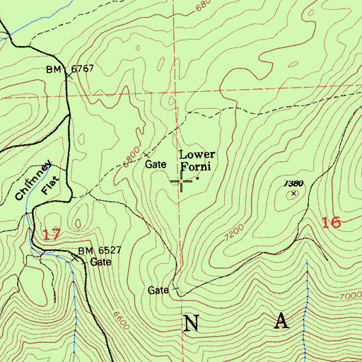 Topographic Map of Lower Forni, CA