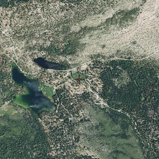 Aerial/Satellite Image of Manzanita Lake, CA