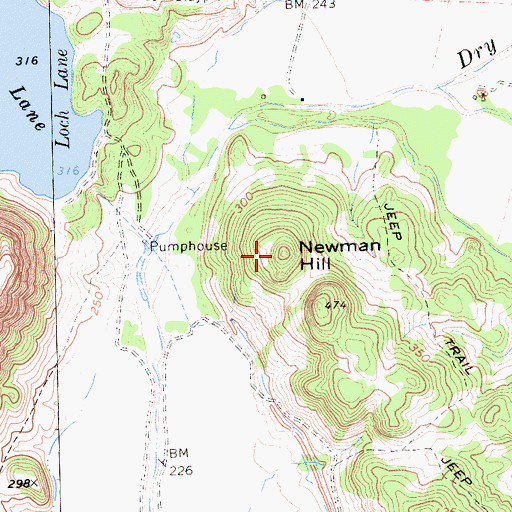 Topographic Map of Newman Hill, CA