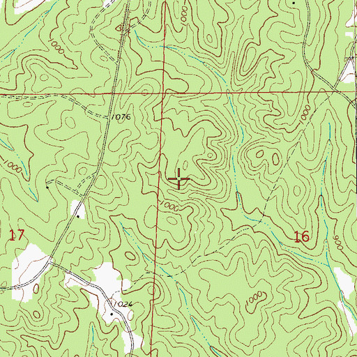 Topographic Map of Wedowee Division, AL