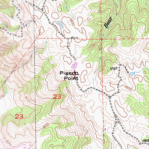 Topographic Map of Pigeon Point, CA