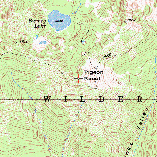 Topographic Map of Pigeon Roost, CA