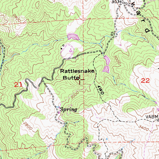Topographic Map of Rattlesnake Butte, CA