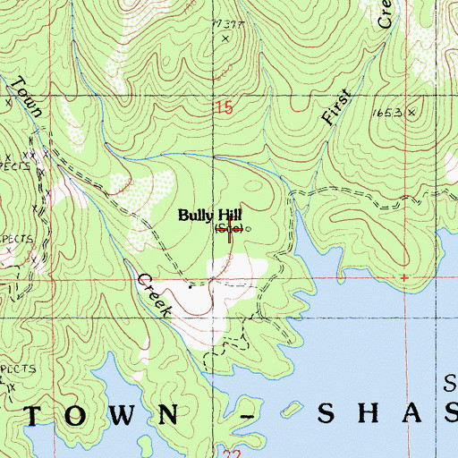 Topographic Map of Bully Hill, CA