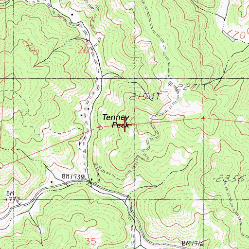 Topographic Map of Tenney Peak, CA