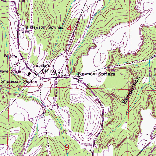 Topographic Map of Newsome Springs, AL