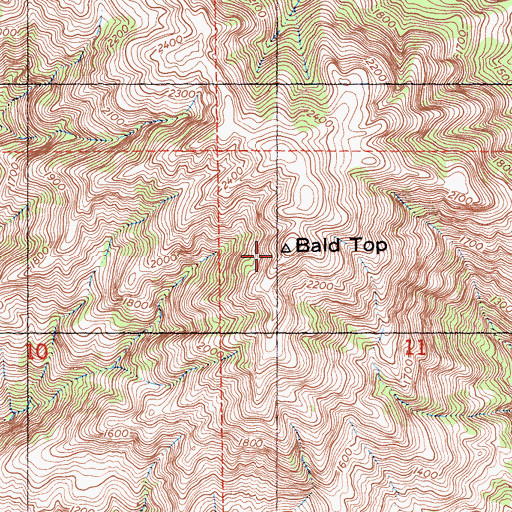 Topographic Map of Bald Top, CA