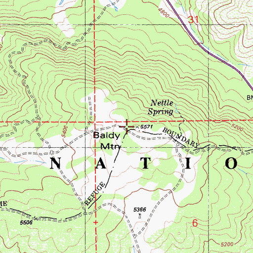 Topographic Map of Baldy Mountain, CA