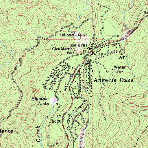Topographic Map of Angelus Oaks, CA