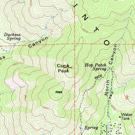 Topographic Map of Cone Peak, CA