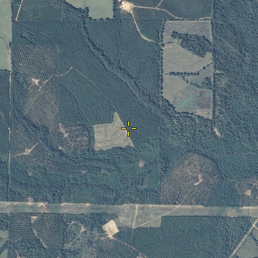 Aerial/Satellite Image of Old Town Post Office (historical), AL