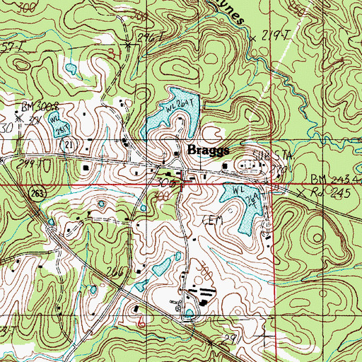 Topographic Map of Braggs Store Post Office (historical), AL