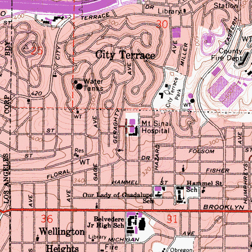 Topographic Map of Mount Sinai Hospital, CA