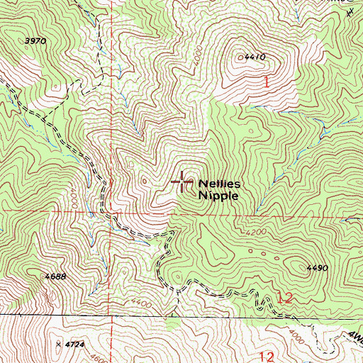 Topographic Map of Nellies Nipple, CA