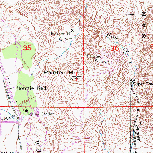 Topographic Map of Painted Hill, CA