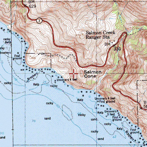 Topographic Map of Salmon Cone, CA