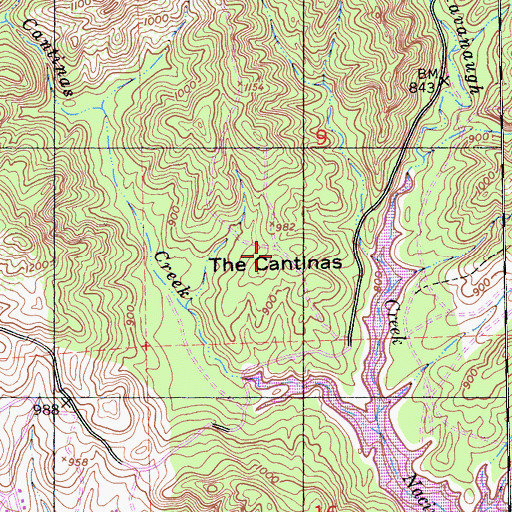 Topographic Map of The Cantinas, CA
