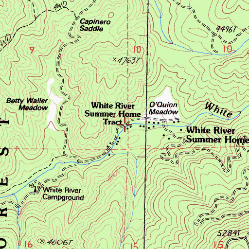 Topographic Map of White River Summer Home Tract, CA