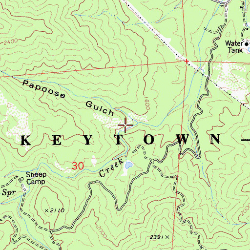 Topographic Map of Papoose Gulch, CA