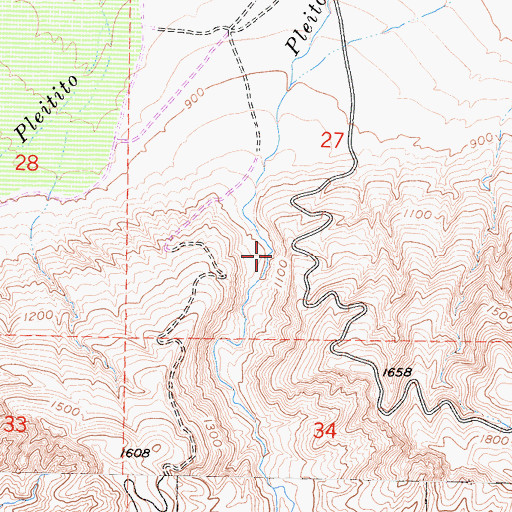 Topographic Map of Pleito Ranch (historical), CA