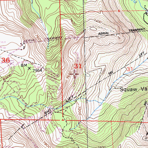 Topographic Map of Squaw Valley Ski Area, CA
