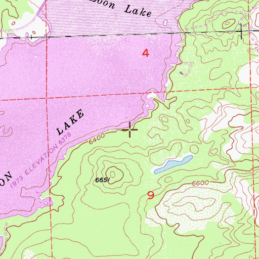 Topographic Map of Loon Lake Camp, CA