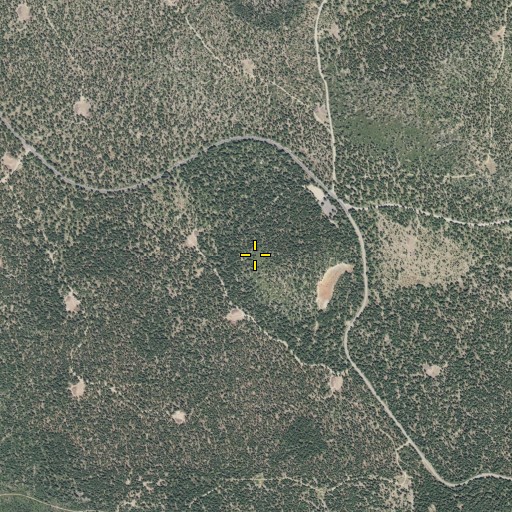 Aerial/Satellite Image of Deer Mountain Snowmobile Park, CA