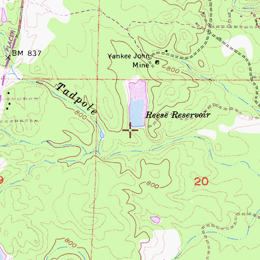Topographic Map of George Reese Reservoir 225 Dam, CA
