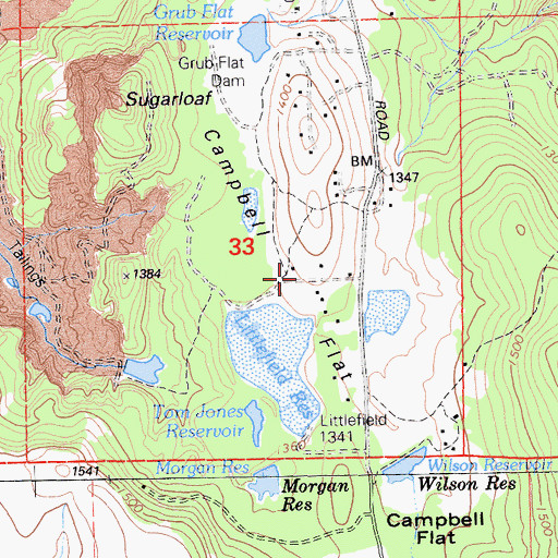 Topographic Map of Littlefield 1341 Dam, CA