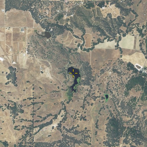Aerial/Satellite Image of Allen 394 Dam, CA