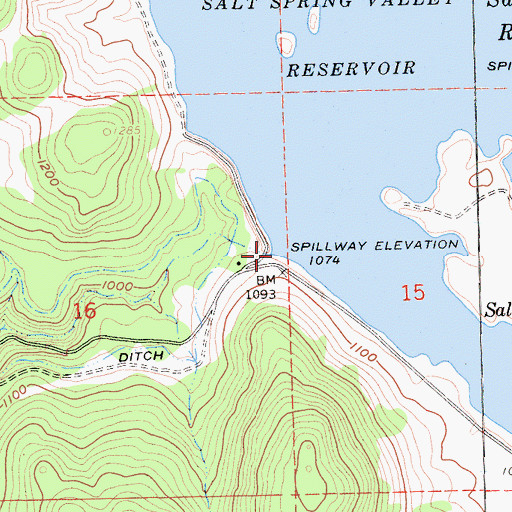 Topographic Map of Salt Springs Valley 496 Dam, CA