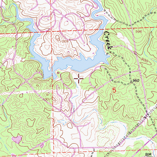 Topographic Map of R N Flower 507 Dam, CA