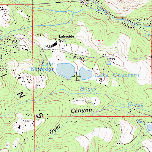 Topographic Map of Lake Couzzens, CA