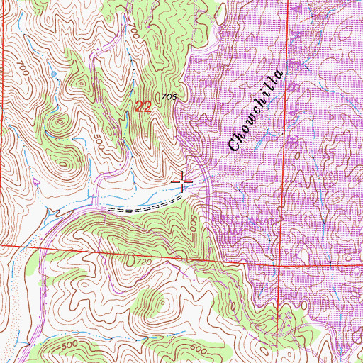 Topographic Map of Buchanan Dam, CA