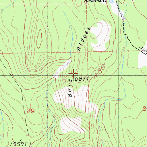 Topographic Map of Bald Ridges, CA