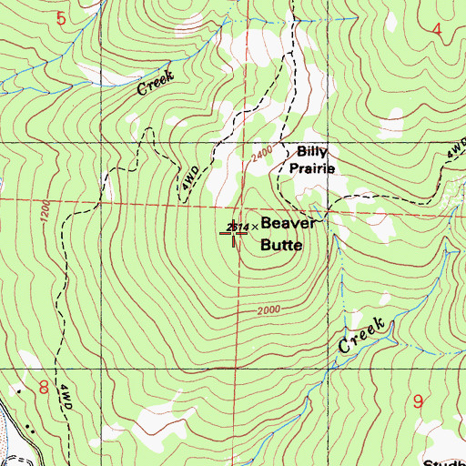Topographic Map of Beaver Butte, CA