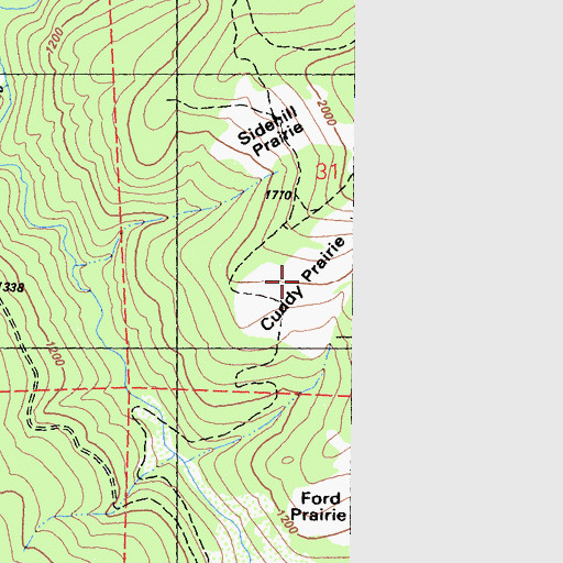 Topographic Map of Cuddy Prairie, CA